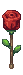 Red Rose artwork