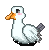 Sea Gull artwork