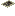 Lost Photograph ground sprite