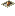 Childhood Photo ground sprite