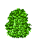 T-Sleepy Bush artwork